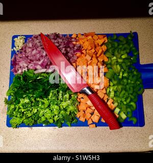Des légumes frais prêts à soupe maison Banque D'Images