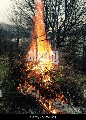 Feu de jardin en hiver. Banque D'Images