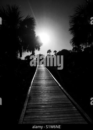 Promenade au coucher du soleil sur le Canaveral National Seashore, Florida, USA Banque D'Images