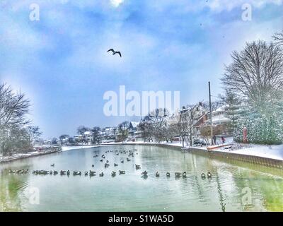 Canards sur le lac Wesley Asbury Park, New Jersey Shore Banque D'Images