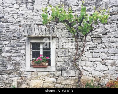 Détail de Karst typique maison en pierre, la Slovénie Banque D'Images