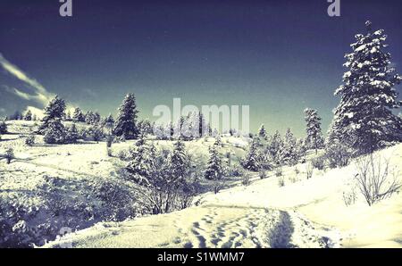 Paysage d'hiver enneigé lunatique. Empreintes de pas sur un sentier couvert de neige menant une colline. Banque D'Images