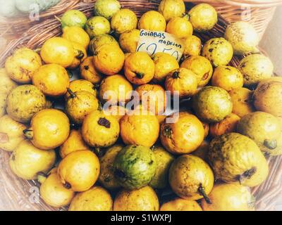 Affichage de fruits de la passion, Goiabas Madère, à la vente à le Mercado DOS Lavradores, Funchal, Madeira, Portugal Banque D'Images