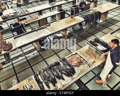 Poissonnier, avec le poisson pour la vente, y compris les sabres noirs, du marché aux poissons, le Mercado DOS Lavradores, Funchal, Madeira, Portugal Banque D'Images