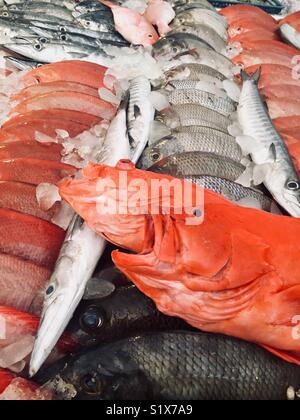 Poisson sur glace à vendre dans un restaurant de plage au Sri Lanka Banque D'Images