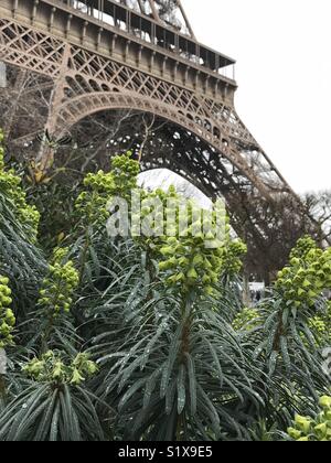 Au pied de la Tour Eiffel, un hiver froid et pluvieux. Banque D'Images