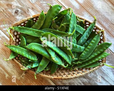 Mange-tout, également connu sous le nom de pois mange-tout ou pois mange-tout Banque D'Images