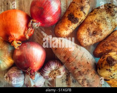 Les pommes de terre fraîchement creusé recouvert de boue, une patate douce, différents types d'oignons et l'ail, high angle view Banque D'Images