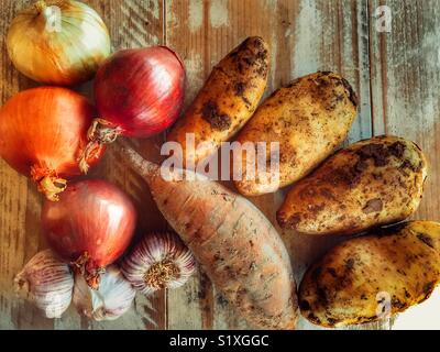 Les pommes de terre fraîchement creusé recouvert de boue, une patate douce, différents types d'oignons et l'ail, high angle view Banque D'Images