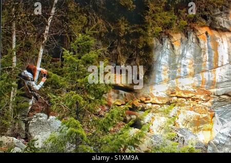 Photographier la rivière Sunwapta et canyon, Jasper National Park, Alberta, Canada Banque D'Images