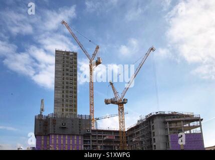 Grues sur un chantier où des tours d'hébergement étudiant se construit à Cardiff, Pays de Galles, Royaume-Uni. Banque D'Images