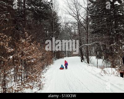 Frère et soeur dans la marche en hiver forent Banque D'Images