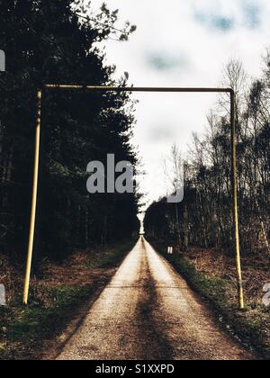 La voie de la porte Est, Rendelsham forest, Suffolk, Angleterre. En 1980 un incident OVNI aurait eu lieu près de la base de l'USAF à Woodbridge. Banque D'Images