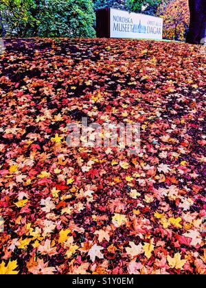 Signe pour Nordiska Museet au haut de la berge couverte de feuilles d'automne, Djurgården, Stockholm, Suède, Scandinavie. Nordiska Museet est la plus grand musée d'histoire culturelle. Banque D'Images