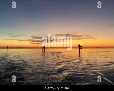 Coucher du soleil à Hernando Beach, Floride Banque D'Images