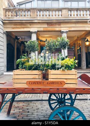 Jardin du couvent. Londres. Banque D'Images