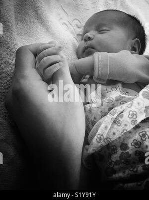 Holding Baby Daddy's hand Banque D'Images