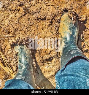 POV mes bottes Wellington couverte de boue dans un champ boueux Banque D'Images