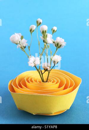 Gypsophile fleurs dans un stand de papier. Banque D'Images