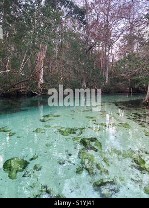 Weeki Wachee Springs, Floride Banque D'Images