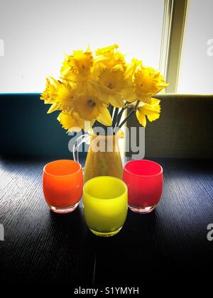 Les jonquilles au printemps Banque D'Images