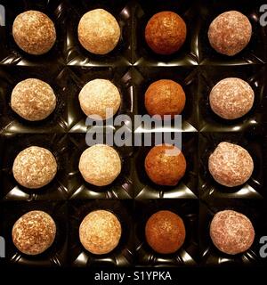 Truffes au chocolat saupoudrés de paillettes et de sucre glace Banque D'Images