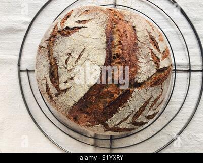 Miche de pain au levain fait maison sur une grille de refroidissement Banque D'Images