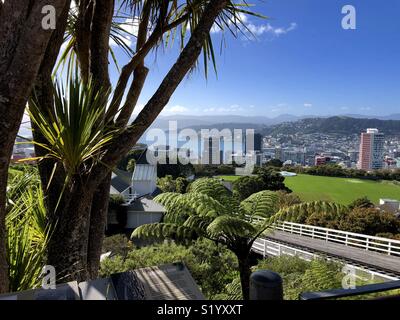 Vue depuis le belvédère de Kelburn sur Wellington, Nouvelle-Zélande Banque D'Images