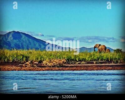 La montagne de l'éléphant et de la rivière Zambèze dans Mana Pools National Park Banque D'Images