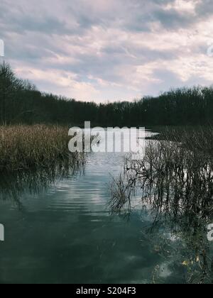 Étang des bois dans le New Jersey, USA. Banque D'Images