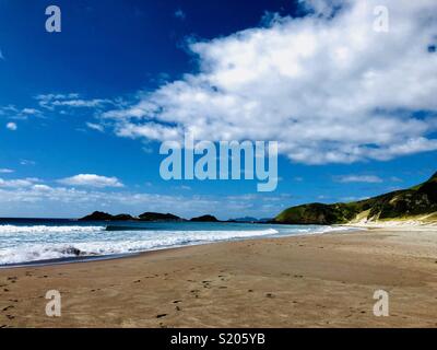 Belle plage sur l'océan, 6 km de long, un Surfer Beach Blanc, Whangarei Heads, île du Nord, Nouvelle-Zélande, Pacifique Sud Banque D'Images