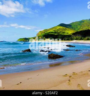 Plage de l'océan, 6 km de long d'une plage de surfeur, Whangarei Heads, près de Whangarei, île du Nord, Nouvelle-Zélande Banque D'Images