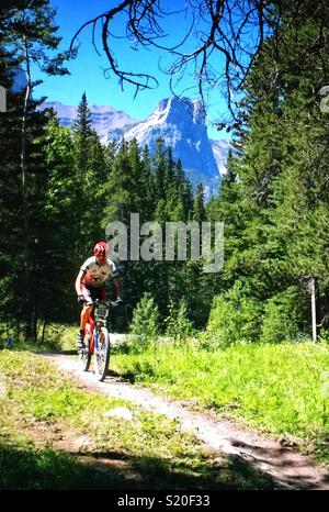 Sentier de montagne course de vélo Banque D'Images