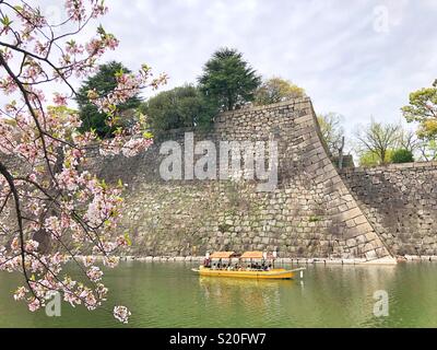 Les fleurs de cerisier et d'un fossé autour du château d'Osaka au Japon. Banque D'Images