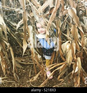 Jeune enfant dans un labyrinthe de maïs Banque D'Images