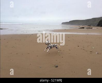 Sur la plage de Dalmatie Banque D'Images