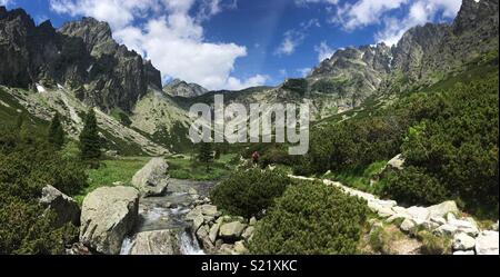 Randonnées en peu froid vallée, sur la route de Teryho Chalet, Tatras slovaques Banque D'Images