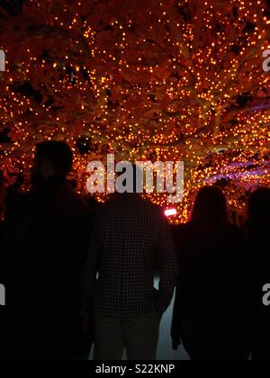 Les gens faisant la queue pour acheter des boissons à un bar extérieur la nuit, sous un arbre avec des lumières scintillantes, prise à Sushisamba, Londres. Banque D'Images