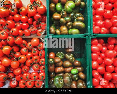 Assortiment de différents types de tomates dans des caisses dans un supermarché, Espagne Banque D'Images