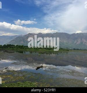 Belle vue sur le lac Dal à partir du pont de la rivière Jhelum à Srinagar, Jammu & Kashmir. Banque D'Images