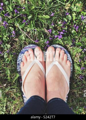 Pieds portant flip flop sandals dans l'herbe avec des fleurs violettes Banque D'Images