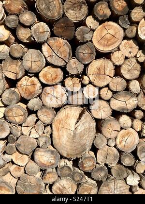 Tas de billes ou de bois à un moulin. Banque D'Images