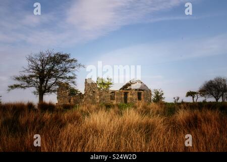 Maison à l'abandon dans la campagne Banque D'Images