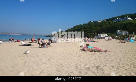 Les mouettes et les baigneurs sur la plage de Porthminster, St Ives, Cornwall Banque D'Images