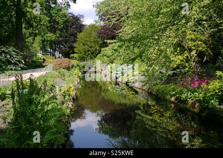 Jardin d'été britannique Banque D'Images