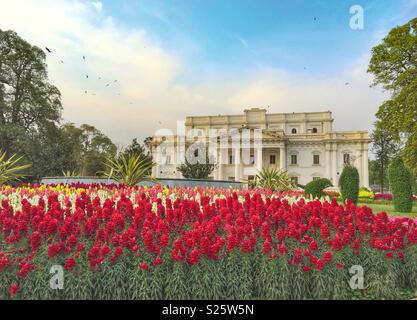 Couleurs du printemps. Banque D'Images