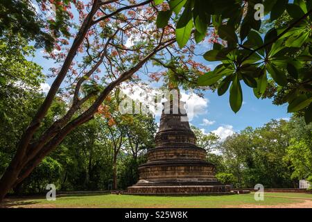 La pagode à the forest temple de Wat Umong Banque D'Images
