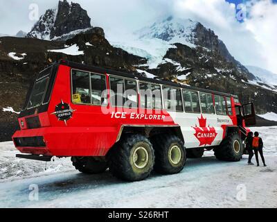 Grand Ice explorer véhicule sur le glacier Athabasca dans le champ de glace Columbia de l'Alberta, Canada Banque D'Images