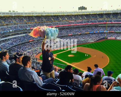 Vendeur de barbe à un jeu de nuit dans la région de Yankee Stadium, NEW YORK, USA Banque D'Images