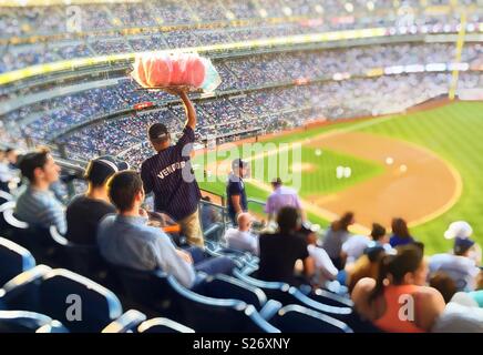 Vendeur de barbe à New York Yankees nuit jeu, Yankee Stadium, Bronx, New York, USA Banque D'Images